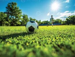 足彩爱好者使用场景